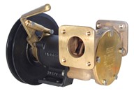 1½" bronze pump, <b>200-size</b>, foot mounted with flanged ports