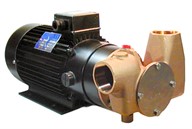 Utility 80' 1½" self-priming pump 24 volt d.c.
