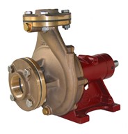 1½" Bronze End Suction (Non-self-priming) Centrifugal Pump